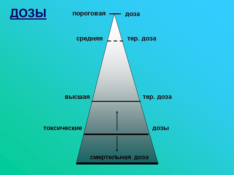 ДОЗЫ средняя тер. доза высшая пороговая доза тер. доза токсические дозы смертельная доза